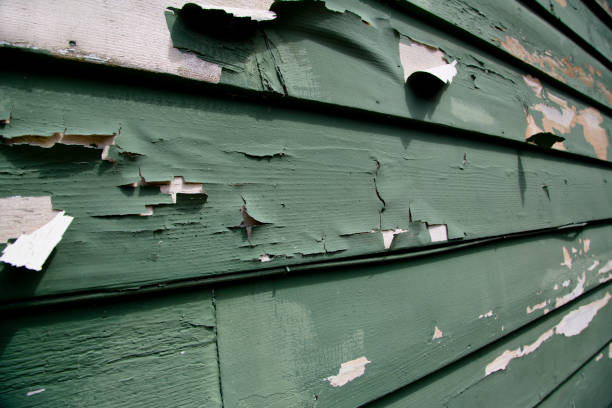 Affordable Siding Repair and Maintenance Services in River Bend, NC